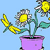 Helianthus flowers and flies coloring