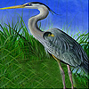 Heron in the reeds slide puzzle