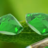 Hidden Emeralds: Butterflies