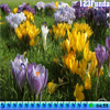Hidden Object Snails