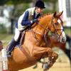 Horse Games