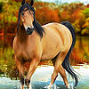 Horse in the river puzzle