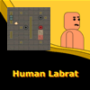 Human Labrat