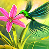 Hummingbird in the garden slide puzzle