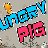 Hungry pig