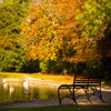 Jigsaw: Autumn Pond