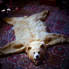 Jigsaw: Bear Rug