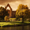 Jigsaw: Bolton Abbey