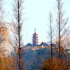 Jigsaw: Buddhist Temple