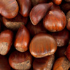 Jigsaw: Chestnuts