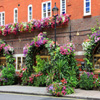Jigsaw: Flower Restaurant