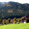 Jigsaw: Hill Farm