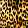 Jigsaw: Leopard Pattern