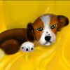 Jigsaw: Little puppy
