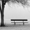 Jigsaw: Misty Bench