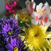 Jigsaw: Mood Flowers