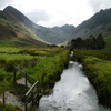 Jigsaw: Mountain Stream