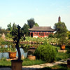 Jigsaw: Peaceful Garden