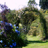 Jigsaw: Rose Arch