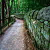 Jigsaw: Wall Path