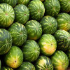 Jigsaw: Watermelon