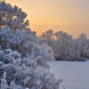 Jigsaw: Winter Landscape