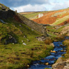 Jigsaw: Yorkshire Stream