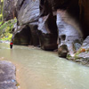 Jigsaw: Zion Narrows