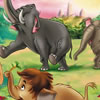 Jungle Hidden Object