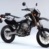 Kawasaki DTrackerX Puzzle
