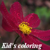 Kingdom of the flowers: Garden flowers