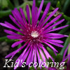 Kingdom of the flowers: Purple beauty