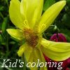 Kingdom of the flowers: Yellow flower