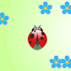 Ladybug and flowers