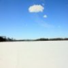 Lake Maria State Park Jigsaw