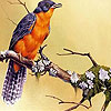 Leaves and bird puzzle