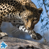 Leopard Jigsaw Puzzle