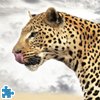 Leopard Jigsaw Puzzle