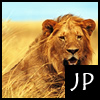 Lion Jigsaw Puzzle