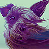 Little brown puppy slide puzzle