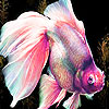 Little pinky fish slide puzzle