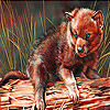 Little wolf cub slide puzzle