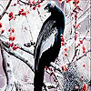 Long tailed bird slide puzzle