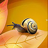 Lost slug slide puzzle