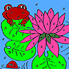 Lotus garden and frogs coloring