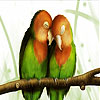 Love Song bird slide puzzle