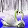 Love swans in the lake slide puzzle