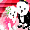 Lovely Puppies' Wedding