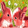 Lovely rabbits in the garden puzzle