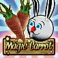 Magic Carrot